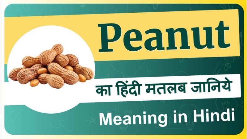 peanut meaning in hindi - Hình 1
