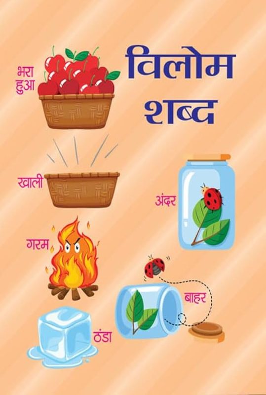 peer meaning in hindi 3