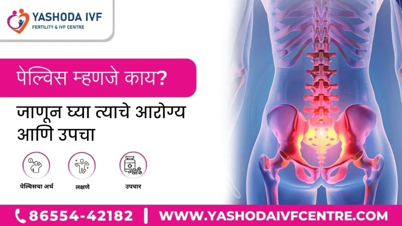 पेल्विस (Pelvis) क्या है? संरचना और कार्य