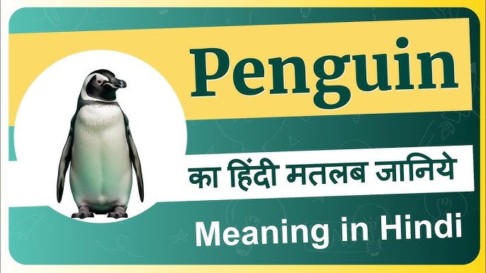 penguin meaning in hindi - Hình 3