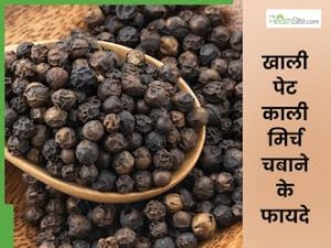 pepper meaning in hindi 2