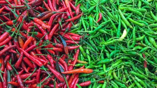 लाल मिर्च (Lal Mirch) और हरी मिर्च (Hari Mirch): चिली पेप्पर के प्रकार