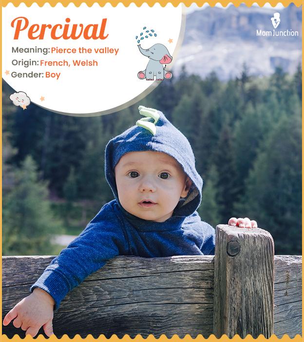 Percival का हिंदी में अर्थ क्या है?