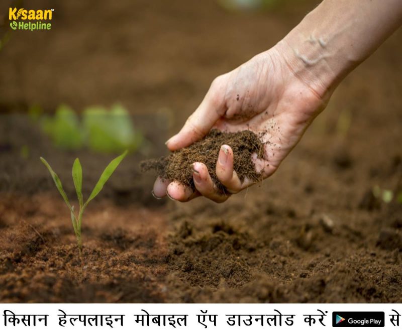 मिट्टी में परकोलेशन: मिट्टी की उर्वरता और पौधों की वृद्धि