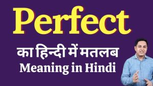 perfect meaning in hindi 3