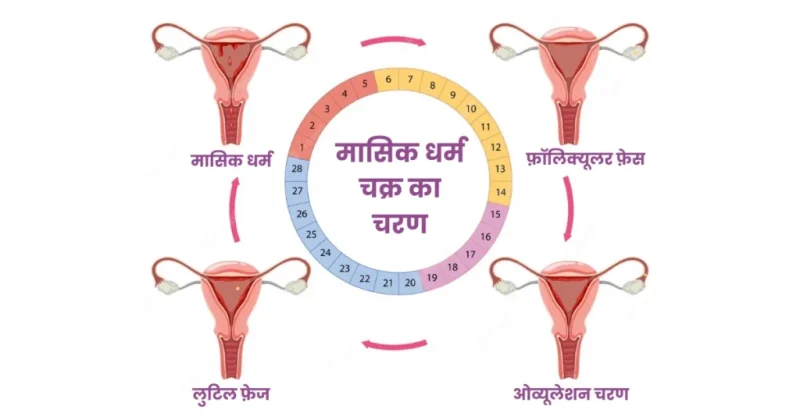 पीरियड्स और गर्भावस्था: संबंध और विचार (Periods Aur Garbhavastha: Sambandh Aur Vichaar)