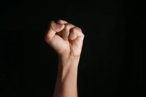 perseverance meaning in hindi 1