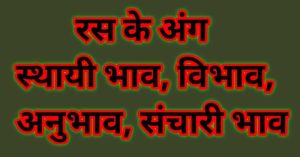 persistent meaning in hindi 1