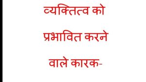 personality meaning in hindi 4