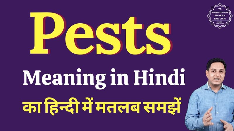 pest meaning in hindi - Hình 3