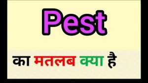 pest meaning in hindi