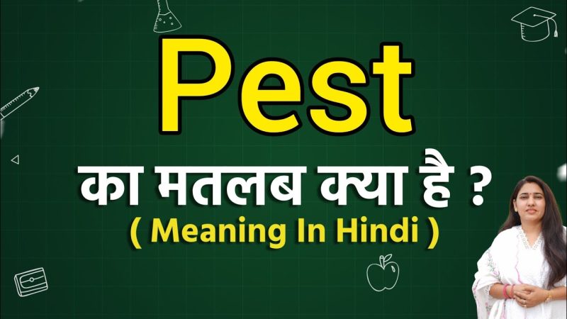 pest meaning in hindi - Hình 5