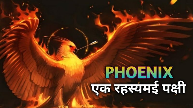 फ़ीनिक्स के बारे में अक्सर पूछे जाने वाले प्रश्न (FAQ)