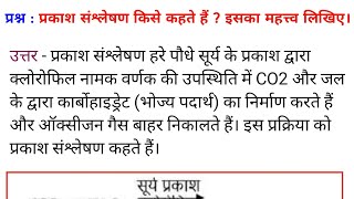 Photosynthesis Meaning In Hindi: प्रकाश संश्लेषण क्या है? प्रक्रिया, महत्व और कारक 11 प्रकाश संश्लेषण का महत्व: जीवन के लिए क्यों ज़रूरी है?
