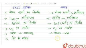 photosynthesis meaning in hindi 5