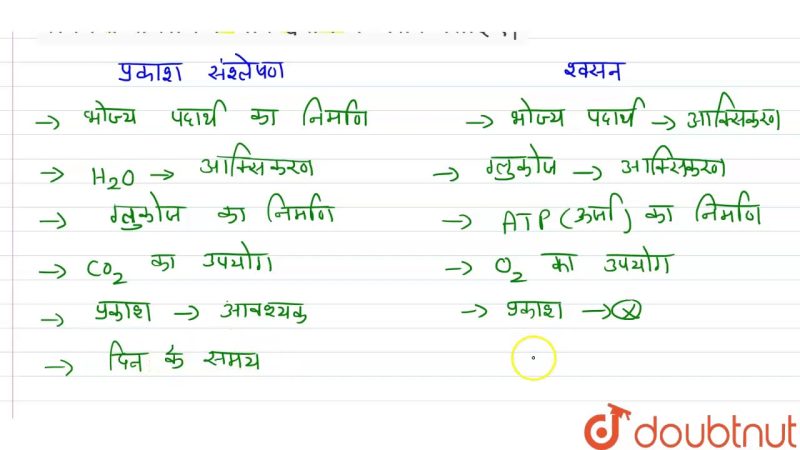 Photosynthesis Meaning In Hindi: प्रकाश संश्लेषण क्या है? प्रक्रिया, महत्व और कारक 12 प्रकाश संश्लेषण और श्वसन: दोनों में क्या अंतर है?