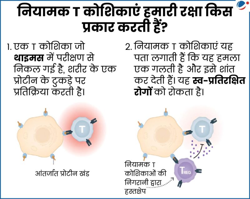 शरीर क्रिया विज्ञान का हिंदी में अर्थ: एक व्यापक परिभाषा