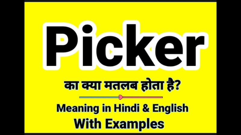 picker packer meaning in hindi - Hình 5