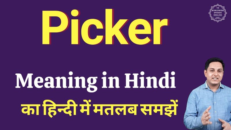 picker packer meaning in hindi - Hình 1