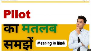 pilot meaning in hindi 2