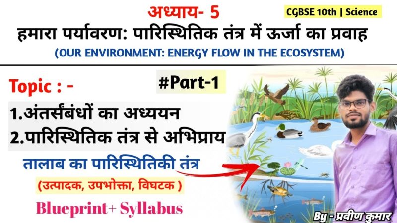 चीड़ और पर्यावरण: पारिस्थितिकीय महत्व (Cheed Aur Paryavaran: Paristhitikiy Mahatva)