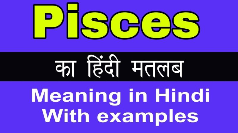 pisces meaning in hindi - Hình 3