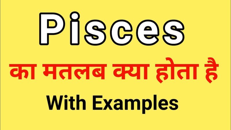pisces meaning in hindi - Hình 1