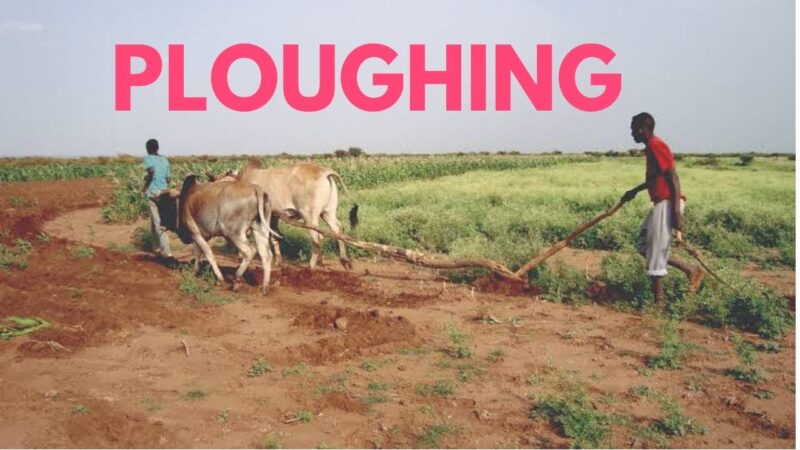 ploughing meaning in hindi - Hình 2