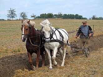 ploughing meaning in hindi - Hình 3