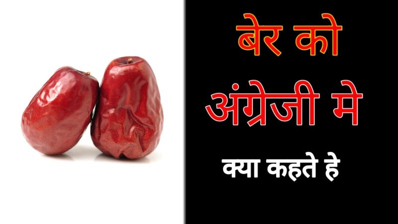 बेर का हिंदी में मतलब  अर्थ, परिभाषा और उपयोग