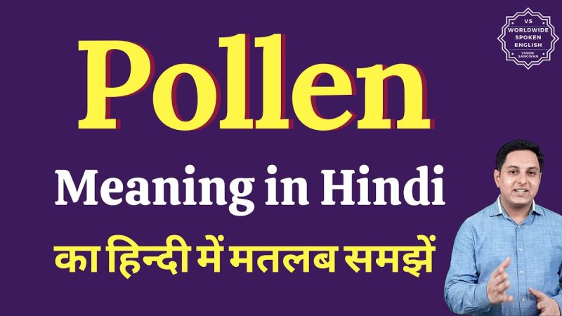 pollen meaning in hindi - Hình 2