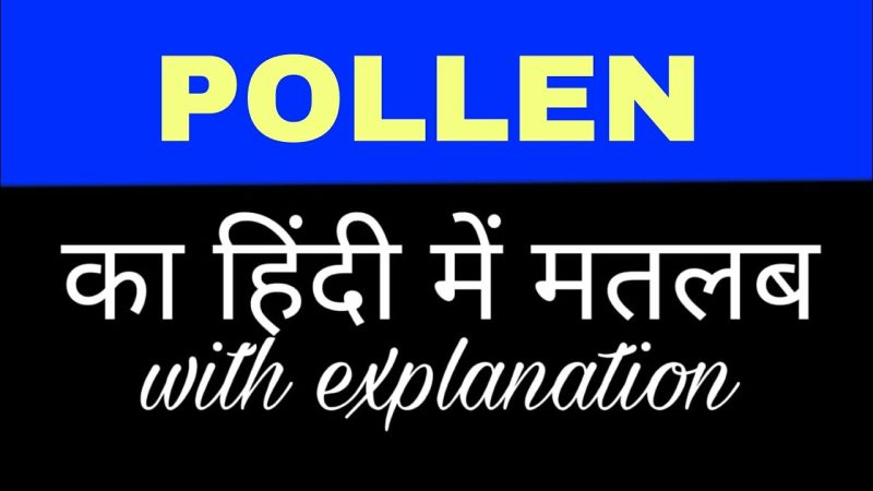 pollen meaning in hindi - Hình 4