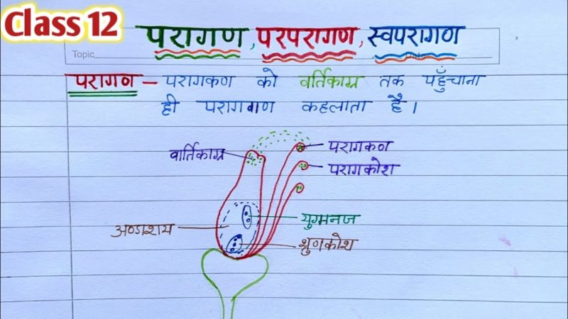 परागण के प्रकार: स्वपरागण (SelfPollination) और परपरागण (CrossPollination)