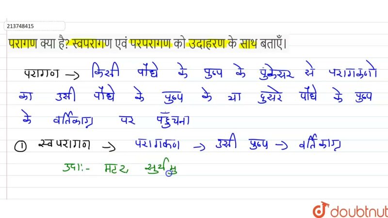 परागण कैसे होता है? प्रक्रिया का विस्तृत विवरण