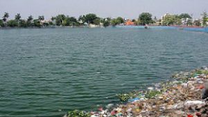 pond meaning in hindi 1