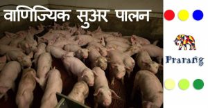 pork meaning in hindi 2