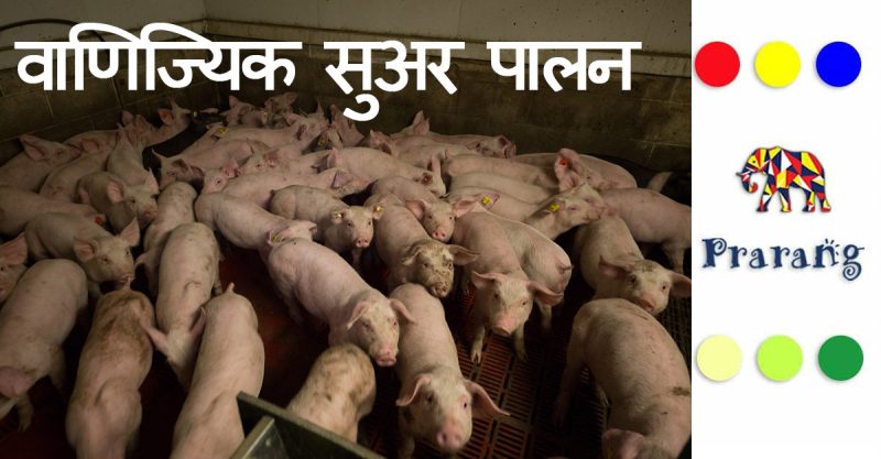 सूअर के मांस के विभिन्न प्रकार और हिंदी में उनके नाम (Suar ke maans ke vibhinn prakar aur hindi mein unke naam)