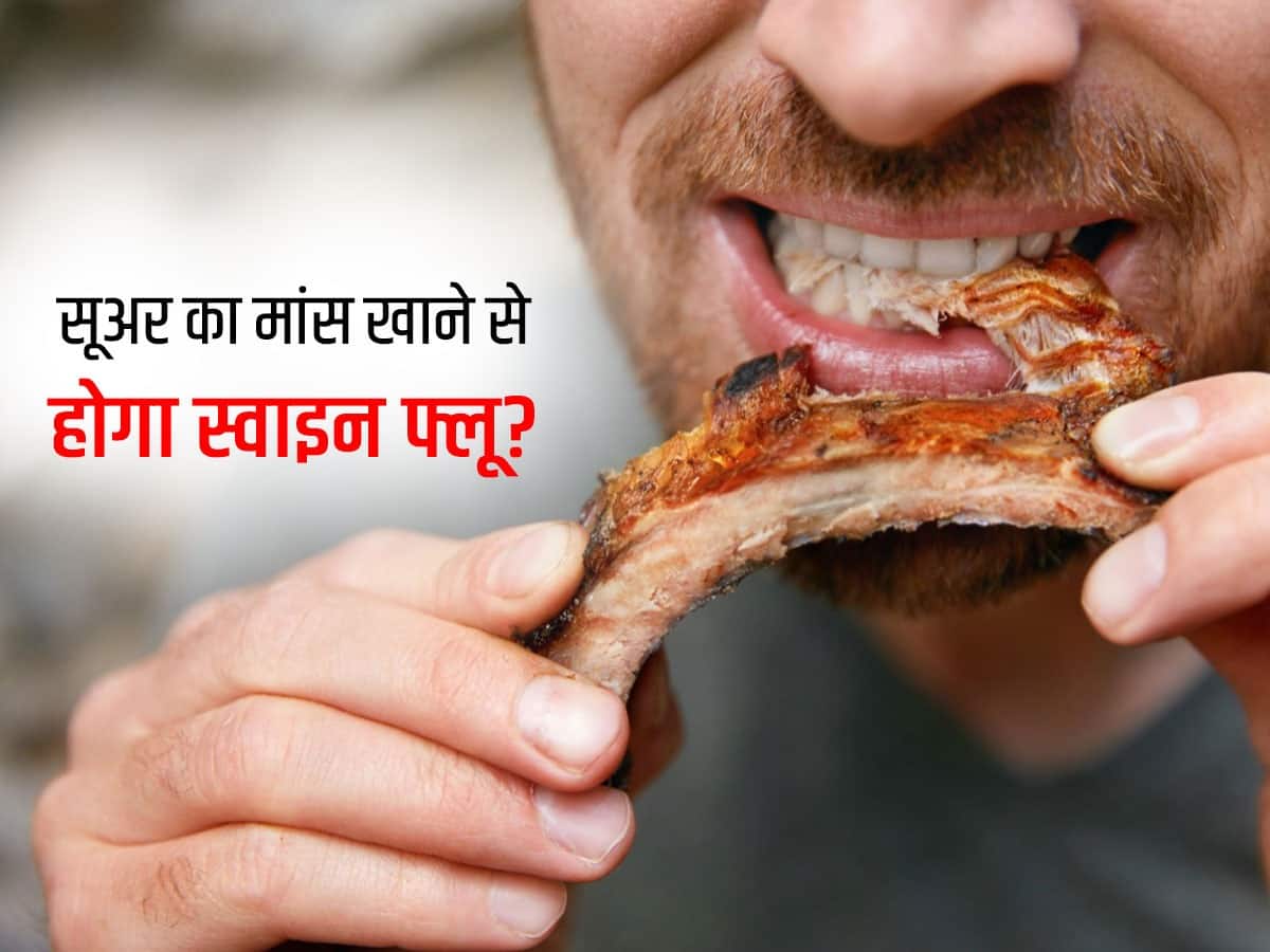 सूअर का मांस पकाने के तरीके: हिंदी में आसान व्यंजन (Suar ka maans pakane ke tarike: hindi mein aasaan vyanjan)