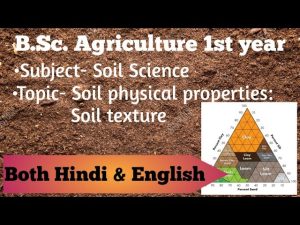 porous meaning in hindi 2