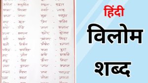 possess meaning in hindi 3