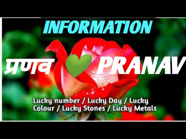 प्रणव नाम वाले व्यक्तियों के व्यक्तित्व लक्षण (Pranav Naam Wale Vyaktiyon Ke Vyaktitva Lakshan): प्रणव नाम वाले लोगों का स्वभाव कैसा होता है? उनकी ताकत और कमजोरियां क्या हैं? यह नाम उनके करियर, प्रेम जीवन और स्वास्थ्य को कैसे प्रभावित करता है, इसके बारे में गहराई से जानें।