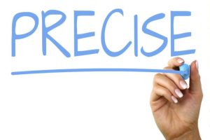 precise meaning in hindi 2