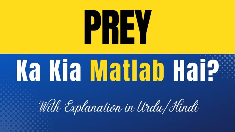 prey meaning in hindi 1