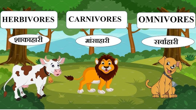 विभिन्न प्रकार के शिकार: शाकाहारी, मांसाहारी और सर्वाहारी जीवों के संदर्भ में