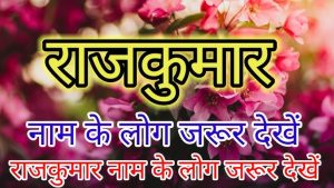 prince meaning in hindi 4