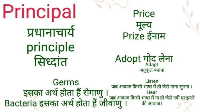 principal meaning in hindi 1