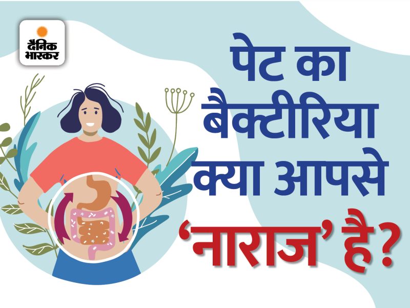 प्रोबायोटिक्स का अर्थ हिंदी में क्या है?