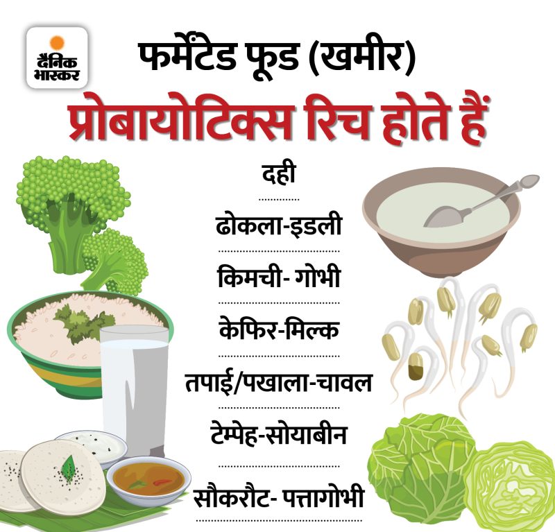 प्रोबायोटिक्स क्या हैं और ये कैसे काम करते हैं?