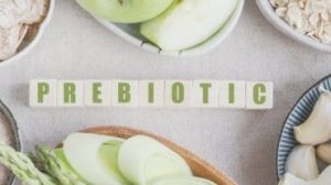 probiotics meaning in hindi 4