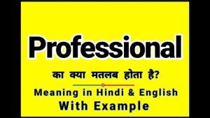 professional meaning in hindi 1